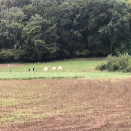 Venkovský dům Le D'ouilly *